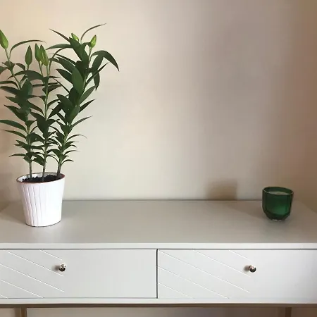 Glensheen 別荘 エニス